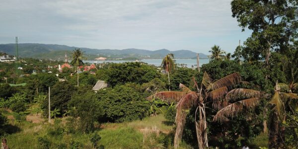 1 Rai Land in 2 Plots with Sea Views - Plai Laem, Koh Samui - For Sale / Real Estate Doctor Property