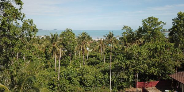 1 Rai Land in 2 Plots with Sea Views - Plai Laem, Koh Samui - For Sale