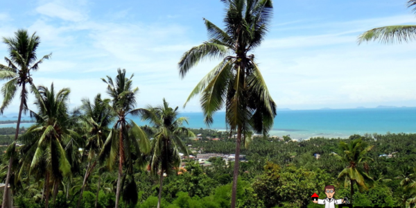 0.57 Rai Sea View Land - Nathon, Koh Samui - For Sale