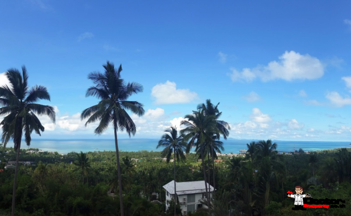 1 Rai Sea View Land - Nathon, Koh Samui - For Sale - Doctor Property Real Estate