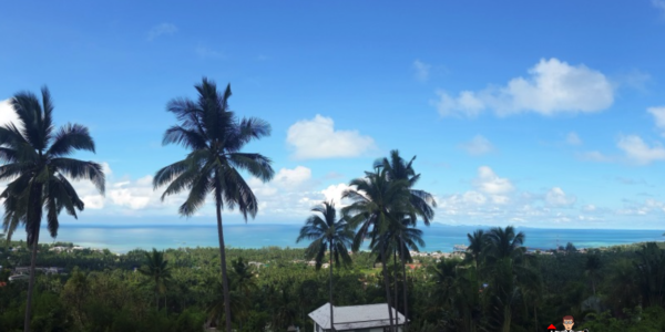 1 Rai Sea View Land - Nathon, Koh Samui - For Sale - Doctor Property Real Estate