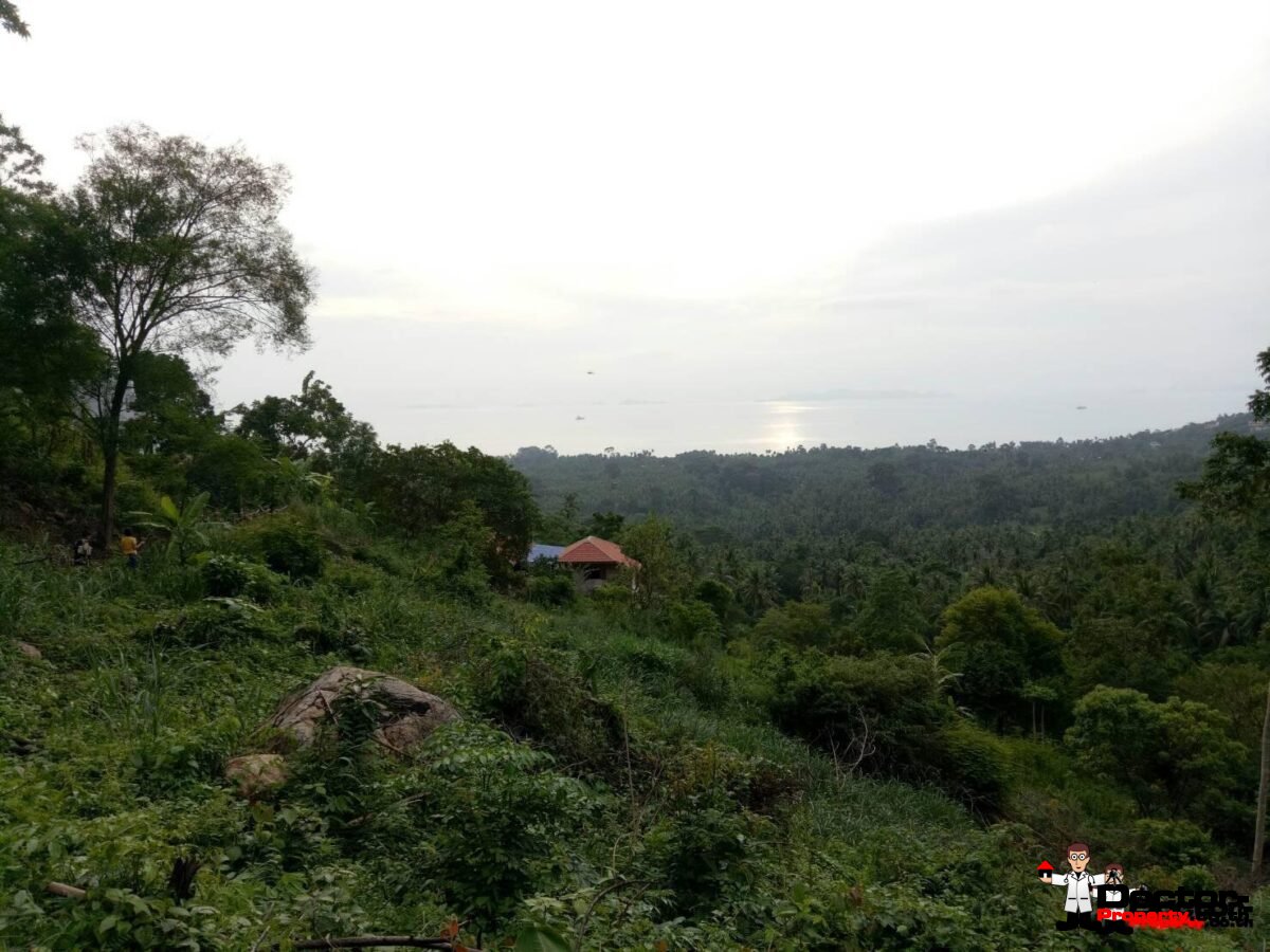 13 rai of Land, For Sale - Bang Makham, Koh Samui - For Sale