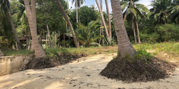 0.75 Rai of Beachfront Land - Taling Ngam, Koh Samui - For Sale