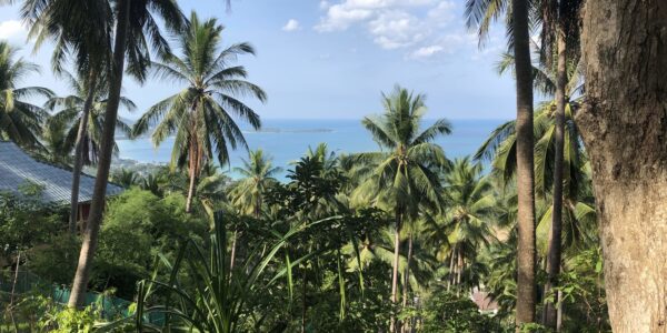 Sea View Land - Chaweng Noi - Koh Samui for sale 3