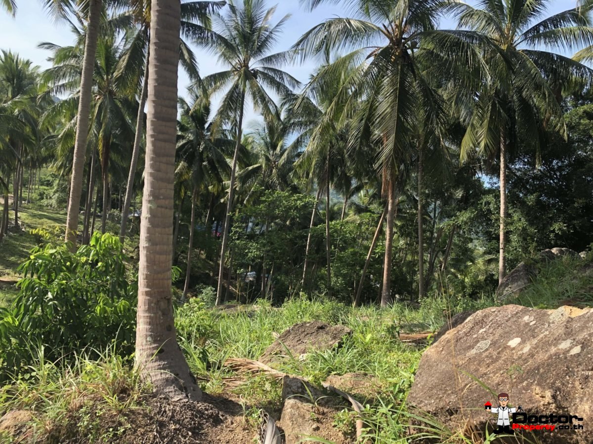 Sea View Land - Chaweng Noi - Koh Samui for sale 4