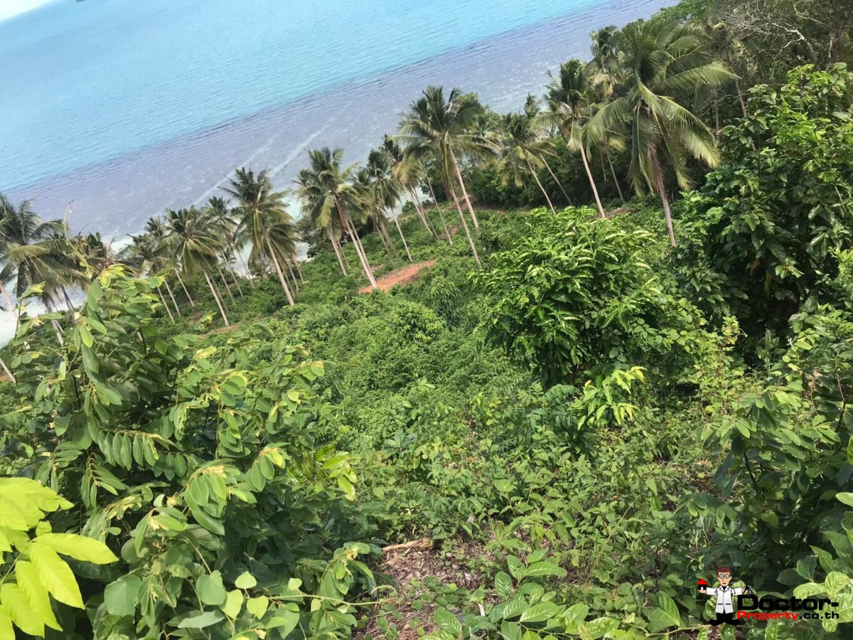 4 Rai Beachfront Land - Taling Ngam - Koh Samui - for sale 5