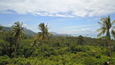 Selection of Serviced Sea View Plots - Angthong, Koh Samui - For Sale