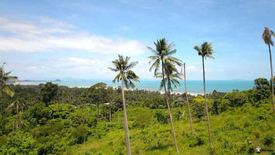 Selection of Serviced Sea View Plots - Angthong, Koh Samui - For Sale