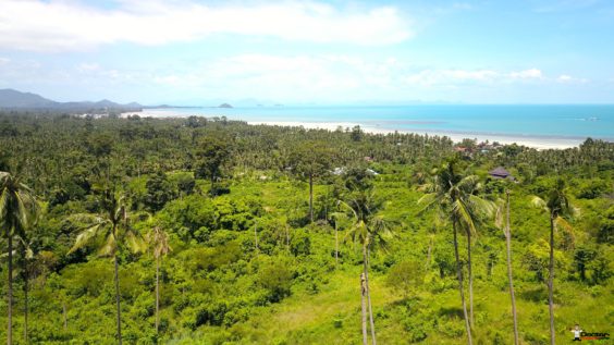 Selection of Serviced Sea View Plots - Angthong, Koh Samui - For Sale