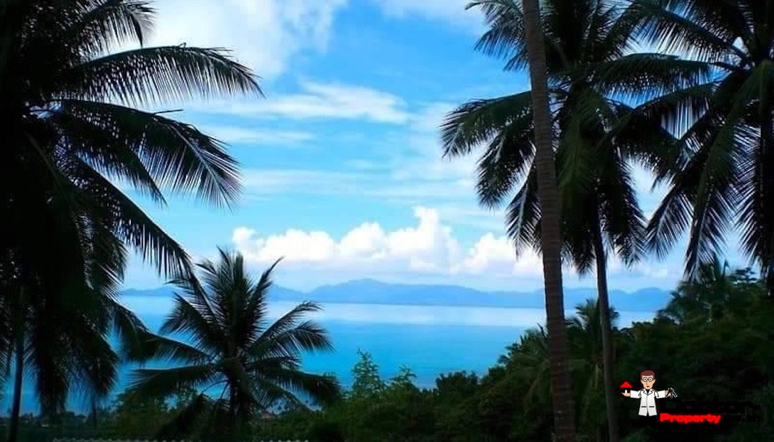 7 Rai Sea View Land - Bang Por - Koh Samui - for sale 3