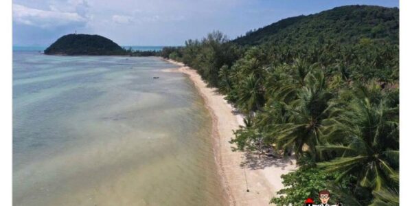 3 Rai Beachfront Land - Bang Makham - Koh Samui - for sale