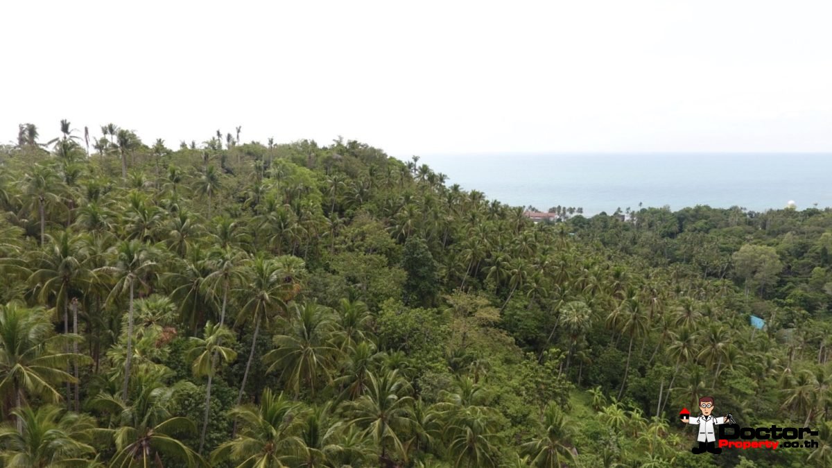 21 Rai of Sea View Land - Lamai, Koh Samui - For Sale