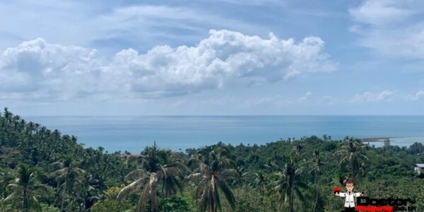 21 Rai of Sea View Land - Lamai, Koh Samui - For Sale