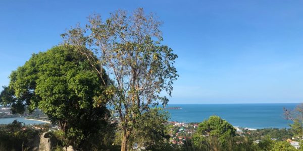Stunning Sea View Land (841 - 3000 sqm) - Chaweng - Koh Samui - for sale