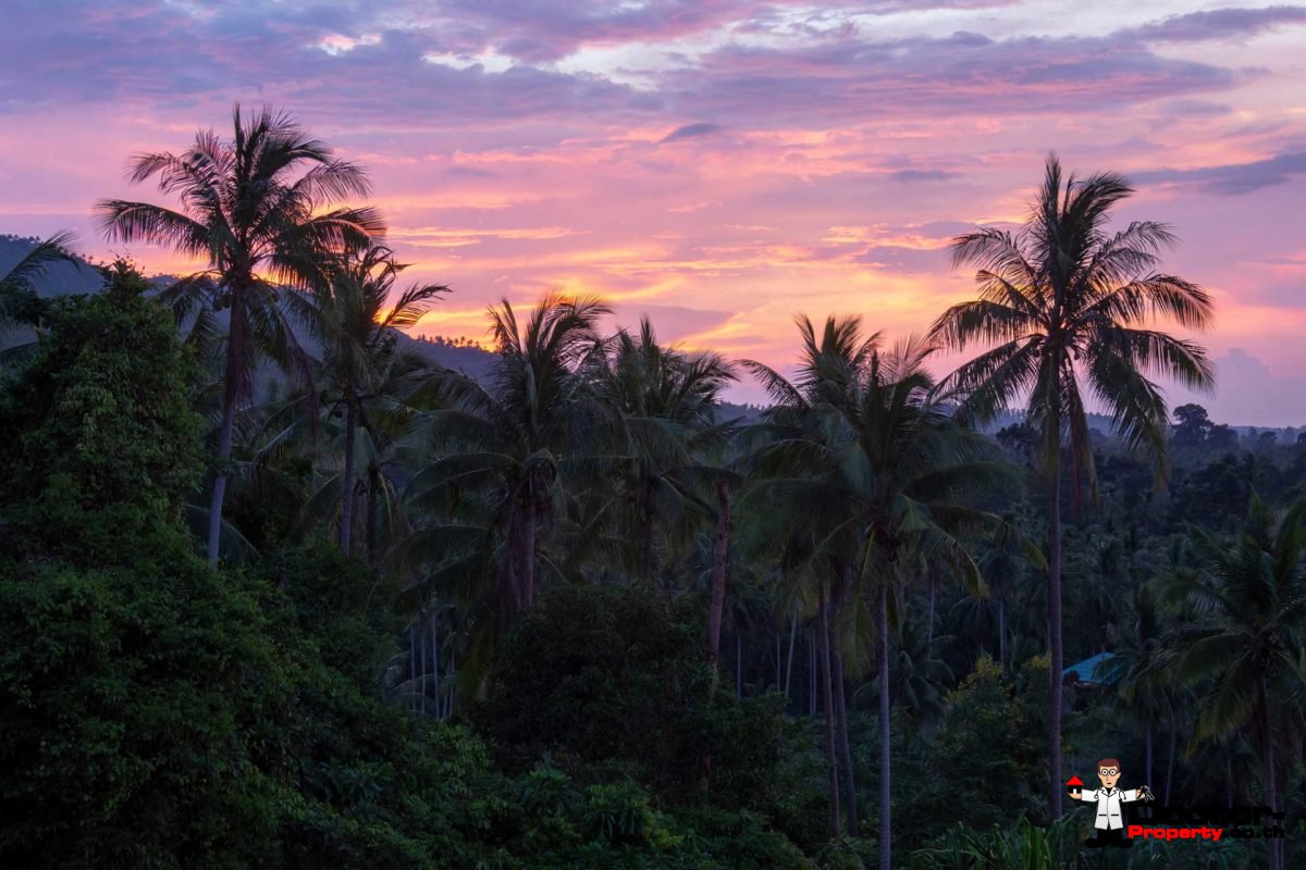 New 3 Bedroom Villa with Sea View - Mae Nam - Koh Samui for sale