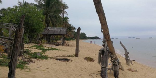 4 Rai Beachfront Land - Mae Nam - Koh Samui - for sale