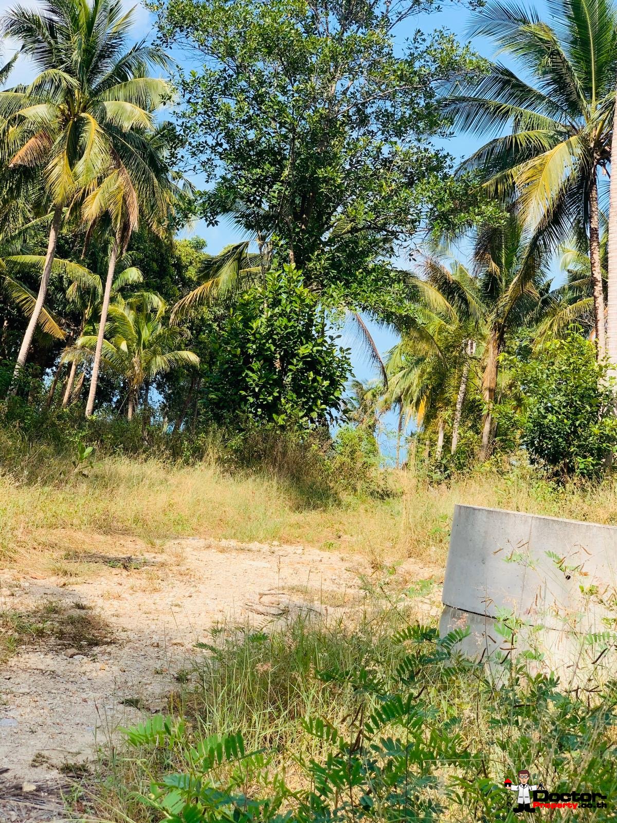 4 Rai Beachfront Land - Mae Nam - Koh Samui - for sale