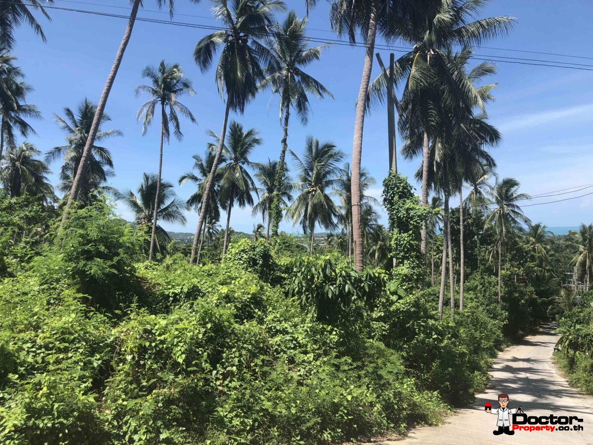 Sea View Land - Chaweng - Koh Samui - for sale