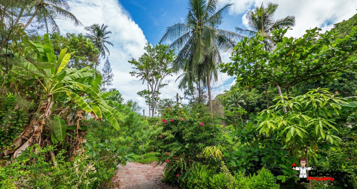 Sea View Land - Hua Thanon, Koh Samui - For Sale