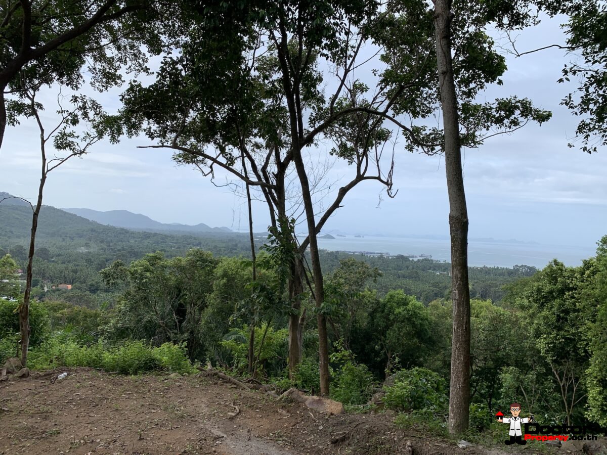 Nearly 3 Rai Sea View Land – Bang Makham – Koh Samui – for sale