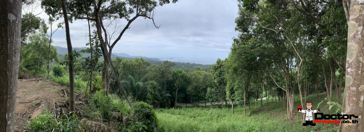 Nearly 3 Rai Sea View Land – Bang Makham – Koh Samui – for sale