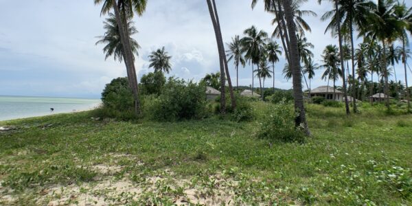 Great Beachfront Land in Hua Thanon, Koh Samui - For Sale