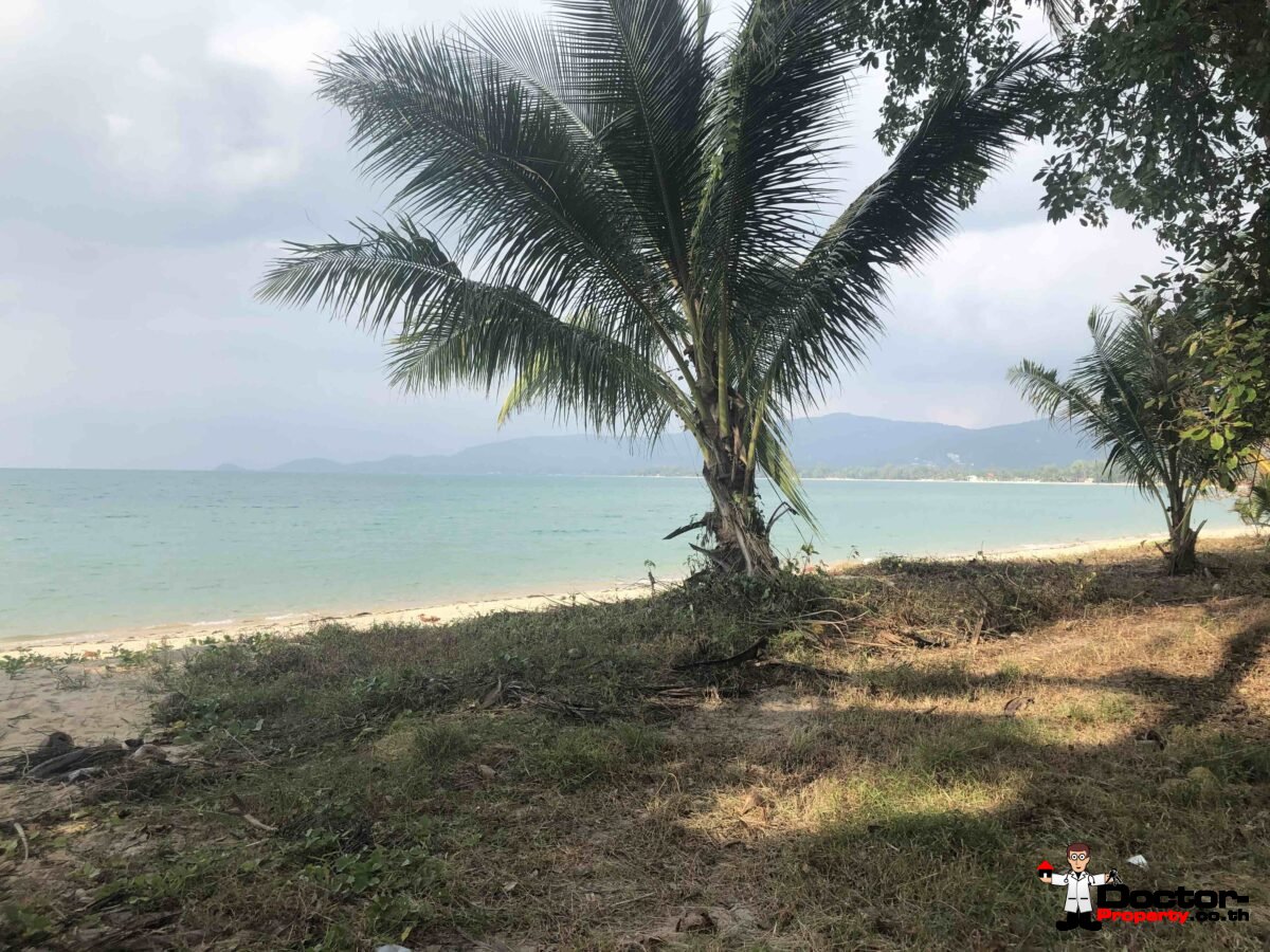 Fantastic Beachfront Land 1,5 - 6 Rai - Lipa Noi - Koh Samui - for sale