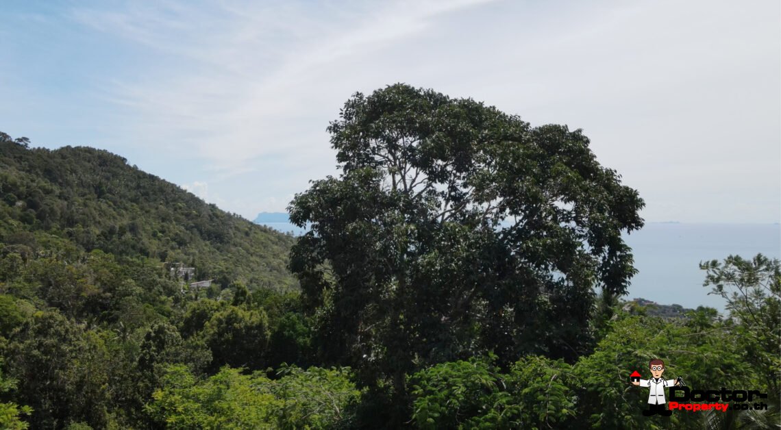 Seaview Land For Sale – Bang Por, Koh Samui – For Sale