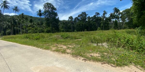 6000 sqm Flat Land – Lamai – Koh Samui – For Sale