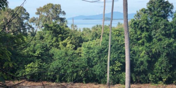 Sea View Land – Laem Set – Koh Samui – For Sale