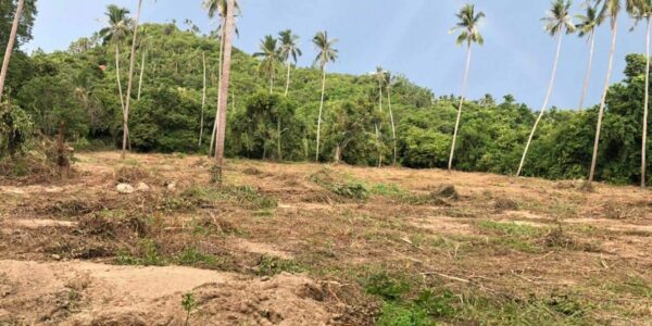 Sea View Land – Laem Set – Koh Samui – For Sale