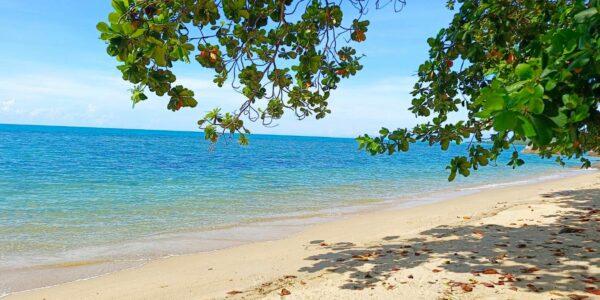 Fantastic Beachfront Land – 4800 sqm – Lamai – Koh Samui – for sale