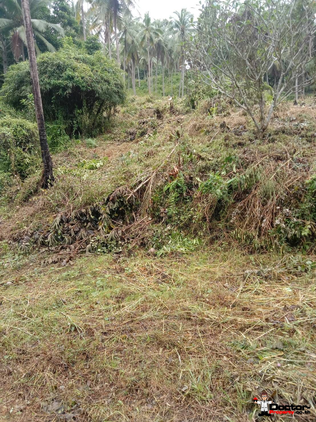 7 Rai Land Parcel – Na Muang – Koh Samui – for sale