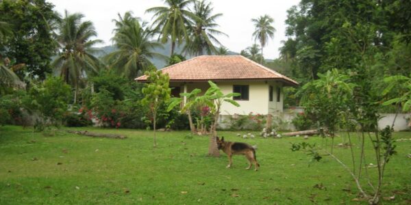 1 House – 2 Bungalows – 5 Bedrooms – Lipa Noi – Koh Samui – For Sale