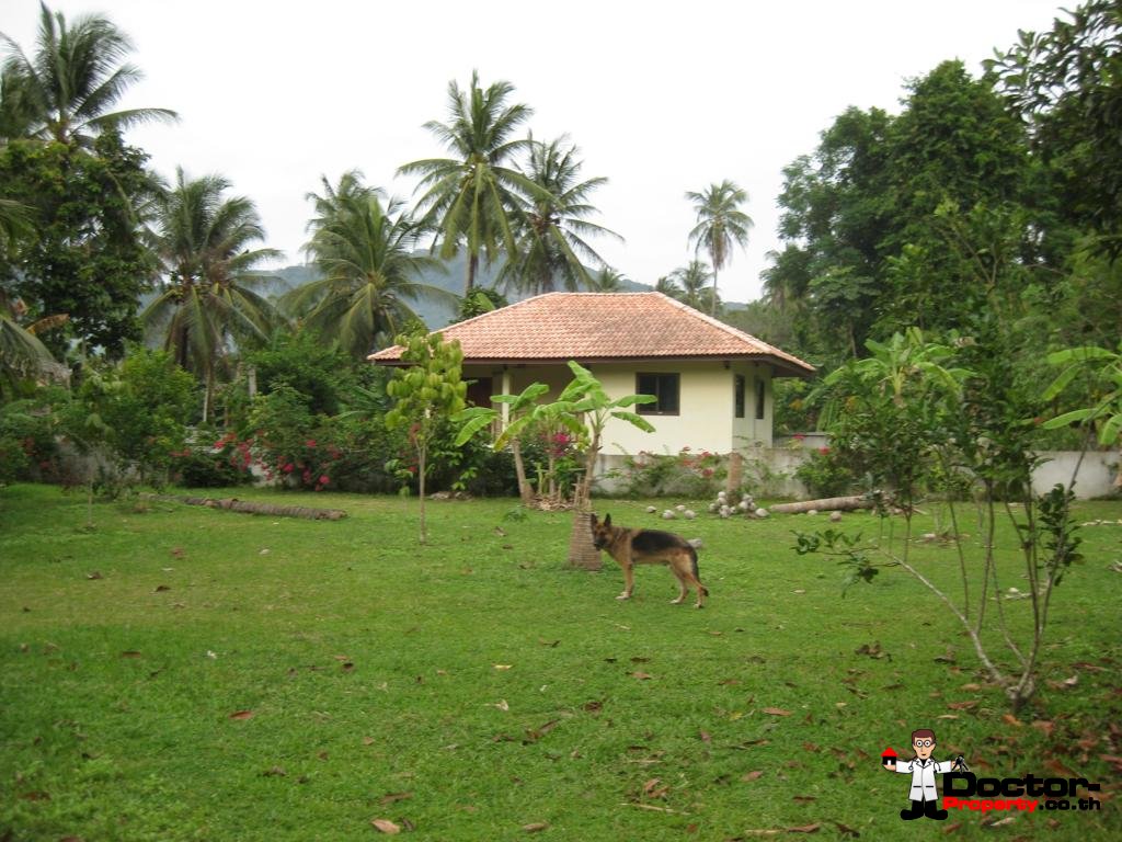1 House – 2 Bungalows – 5 Bedrooms – Lipa Noi – Koh Samui – For Sale