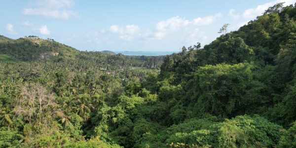 2.5 Rai of Sea View Land – Taling Ngam – Koh Samui – For Sale