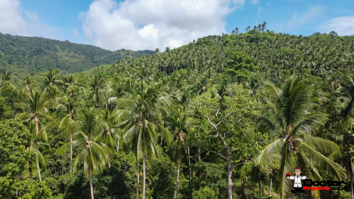 Beautiful Seaview Land 5 Rai in Lamai, Koh Samui – For Sale