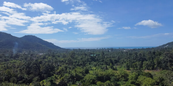 Beautiful Seaview Land 5 Rai in Lamai, Koh Samui – For Sale