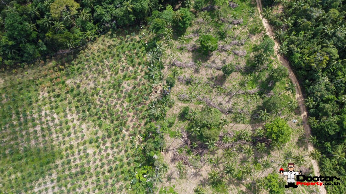Land 7 Rai 2 Ngan in Ban Tai, Koh Samui – For Sale