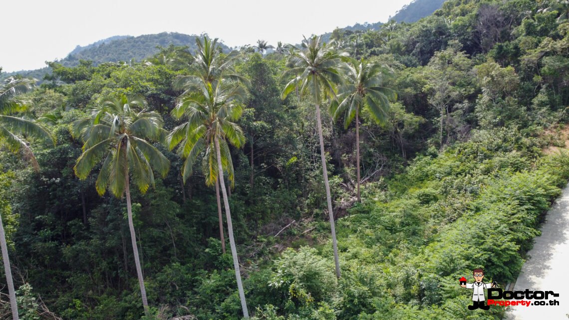 Land 7 Rai 2 Ngan in Ban Tai, Koh Samui – For Sale