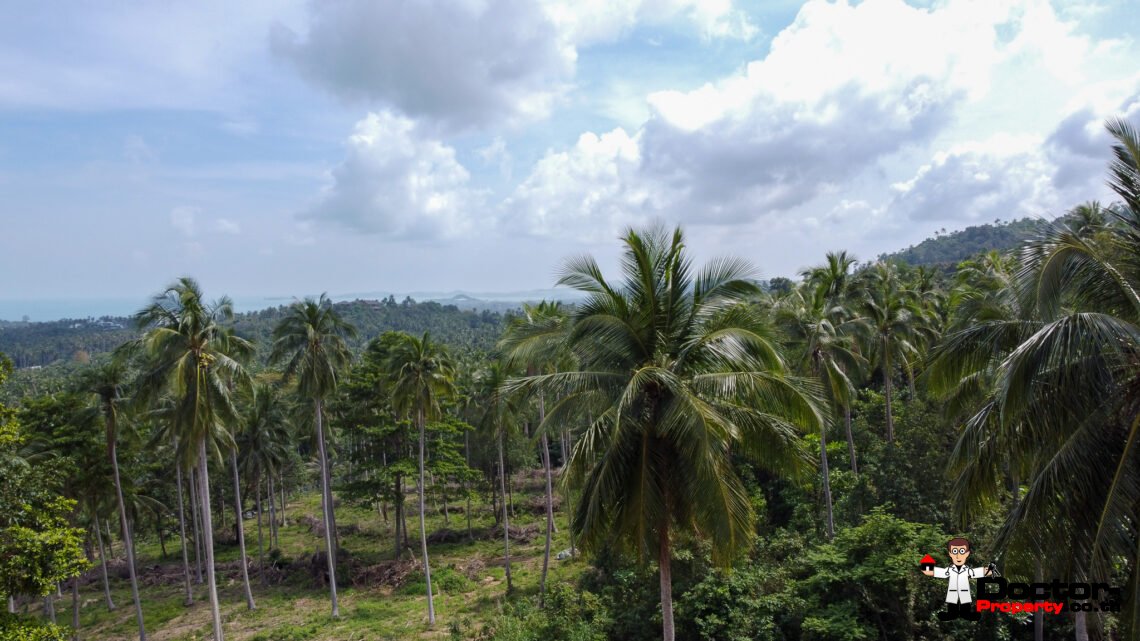 Land 7 Rai 2 Ngan in Ban Tai, Koh Samui – For Sale