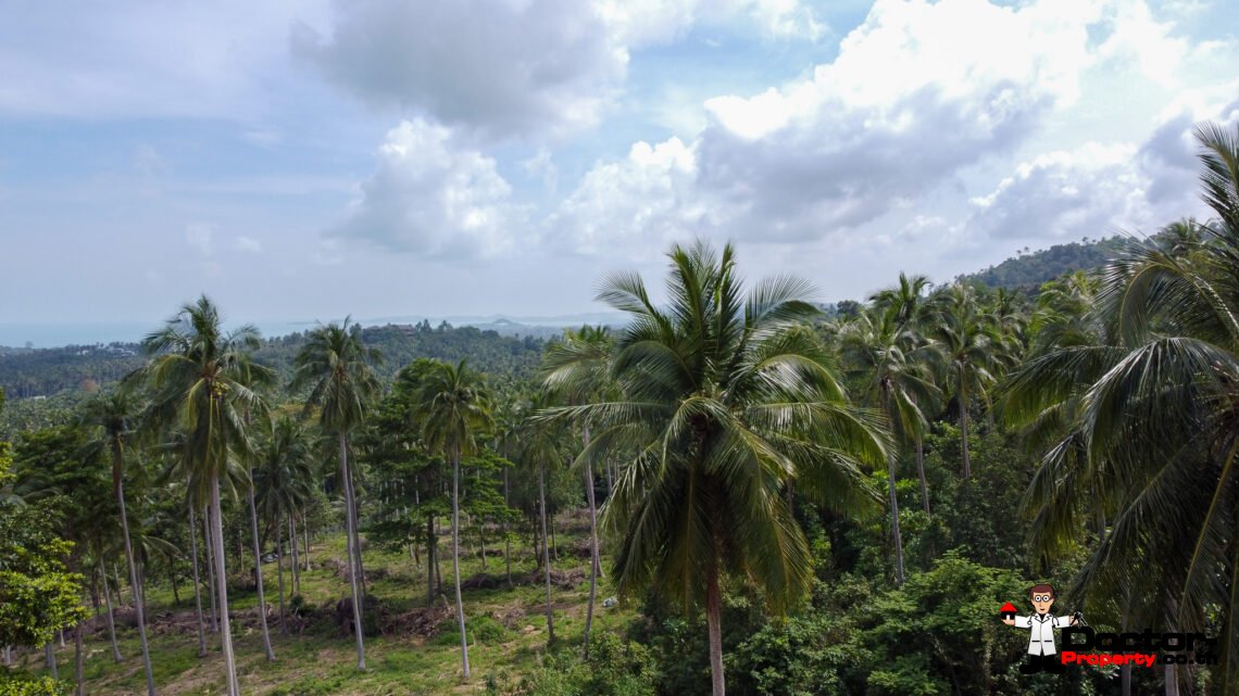 Land 7 Rai 2 Ngan in Ban Tai, Koh Samui – For Sale