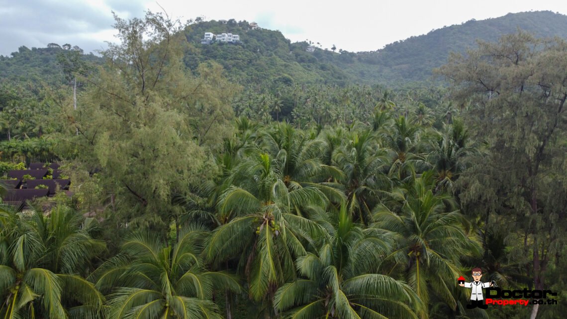 Stunning Beachfront Land 3 Rai 1 Ngan in Laem Yai, Koh Samui – For Sale