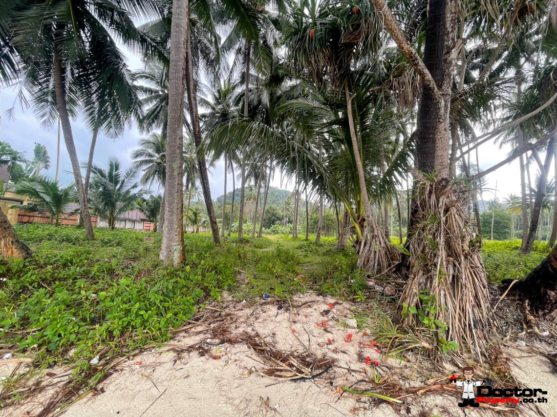 Stunning Beachfront Land 3 Rai 1 Ngan in Laem Yai, Koh Samui – For Sale