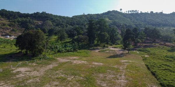 4 Plot Flat Land with Mountain View in Mae Nam, Koh Samui – For Sale