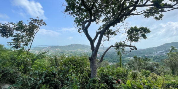 Land 1,852 SQM with Sea View in Bophut Hill, Koh Samui – For Sale