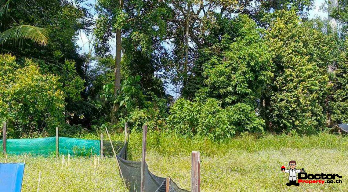 Land 7 Plot with Mountain View in Bo Phut, Koh Samui – For Sale