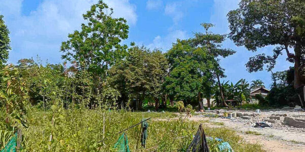 Land 7 Plot with Mountain View in Bo Phut, Koh Samui – For Sale