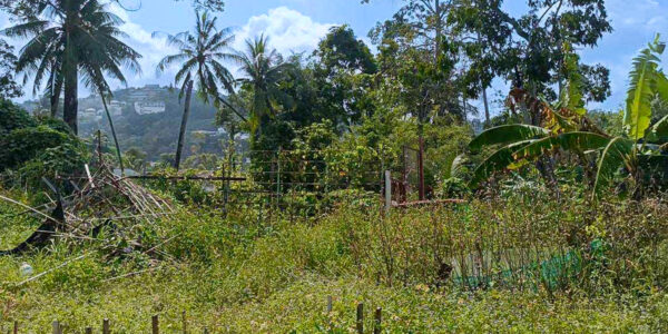 Land 7 Plot with Mountain View in Bo Phut, Koh Samui – For Sale