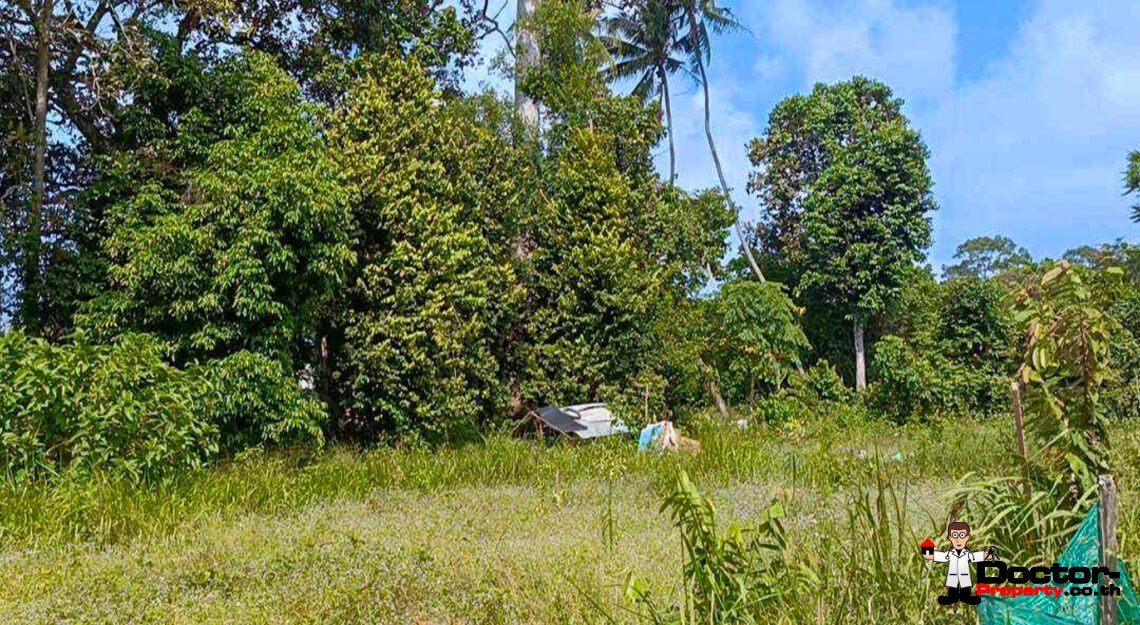 Land 7 Plot with Mountain View in Bo Phut, Koh Samui – For Sale